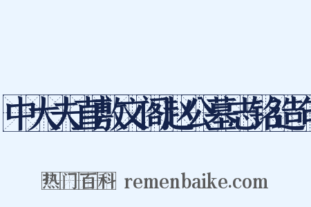 中大夫直敷文阁赵公墓志铭造句是什么意思的图片